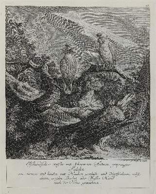 Bild Nr.1: 132-2415 Ridinger,E.J.: (Varia, Jagd, Falke)
