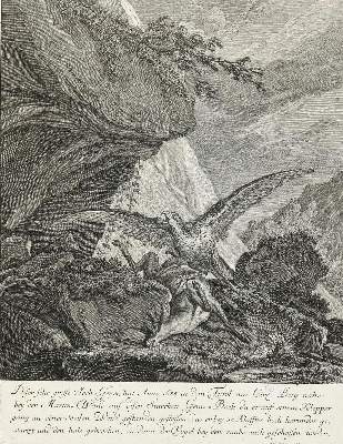 Bild Nr.1: 132-2420 Ridinger,E.J.: (Varia, Jagd, Geier)