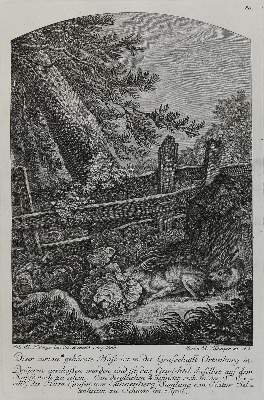 Bild Nr.1: 132-2421 Ridinger,E.J.: (Varia, Jagd, Hase)