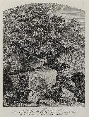 Bild Nr.1: 132-2423 Ridinger,E.J.: (Varia, Jagd, Hasen)