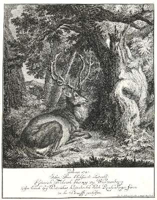 Bild Nr.1: 132-2435 Ridinger,E.J.: (Varia, Jagd, Hirsche)