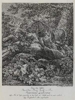 Bild Nr.1: 132-2436 Ridinger,E.J.: (Varia, Jagd, Hirsche)