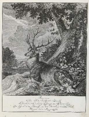 Bild Nr.1: 132-2438 Ridinger,E.J.: (Varia, Jagd, Hirsche)