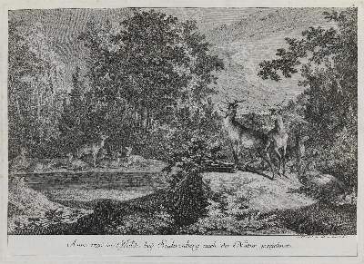Bild Nr.1: 132-2446 Ridinger,E.J.: (Varia, Jagd, Hirsche)