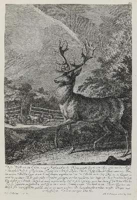 Bild Nr.1: 132-2468 Ridinger,E.J.: (Varia, Jagd, Hirsche)