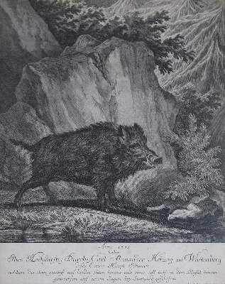Bild Nr.3: 132-2486 Ridinger, Martin Elias.: (Varia, Jagd, Hirsche)