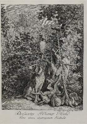 Bild Nr.1: 132-2490 Ridinger,E.J.: (Varia, Jagd, Hunde)
