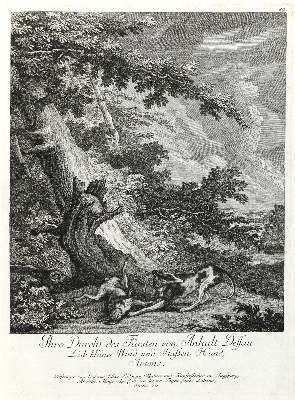 Bild Nr.1: 132-2491 Ridinger,E.J.: (Varia, Jagd, Hunde)