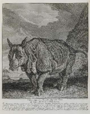 Bild Nr.1: 132-2497 Ridinger,E.J.: (Varia, Jagd, Nashörner)