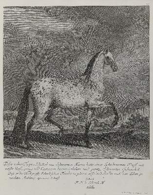 Bild Nr.1: 132-2503 Ridinger,E.J.: (Varia, Jagd, Pferde)