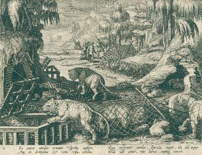 Bild Nr.1: 132-2506 Stradanus, Johanes: (Varia, Jagd)