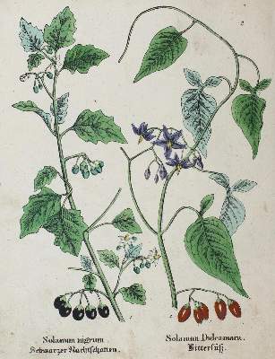 Bild Nr.2: 132-2519 Konvolut: (Varia)