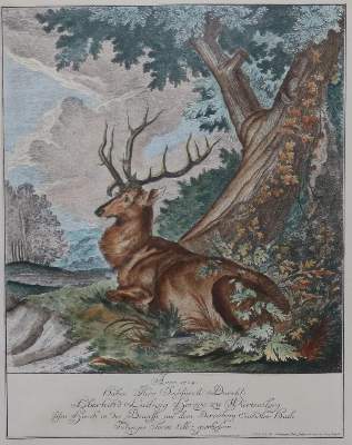 Bild Nr.1: 132-2526 Konvolut: (Varia)