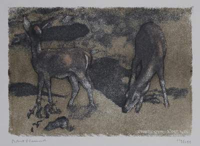 Bild Nr.30: 132-2526 Konvolut: (Varia)