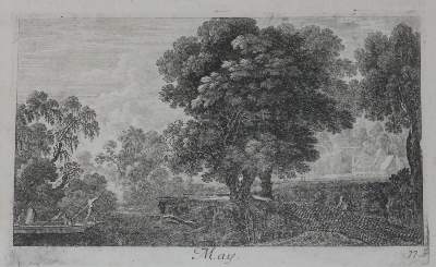 Bild Nr.5: 132-2550 Monate.: (Varia)