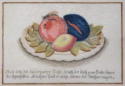 Bild Nr.1: 132-2558 Pomologie.: (Varia)