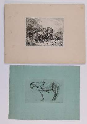 Bild Nr.3: 132-2597 Pferde.: (Varia, Zoologie)