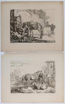 Bild Nr.6: 132-2597 Pferde.: (Varia, Zoologie)