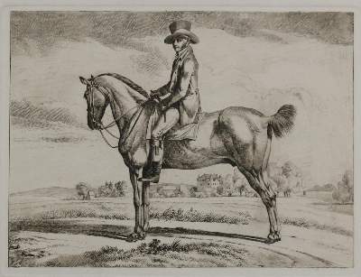 Bild Nr.2: 132-2598 Pferde.: (Varia, Zoologie)