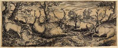 Bild Nr.1: 132-2602 Tiere.: (Varia, Zoologie)