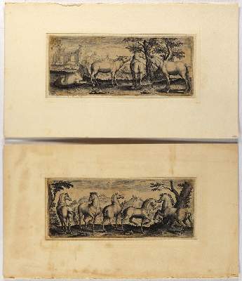 Bild Nr.2: 132-2602 Tiere.: (Varia, Zoologie)