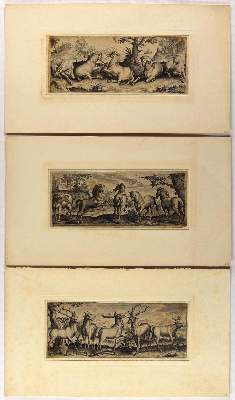 Bild Nr.3: 132-2602 Tiere.: (Varia, Zoologie)