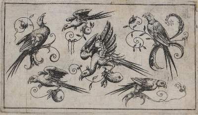 Bild Nr.1: 132-2604 Vögel.: (Varia, Zoologie, Vögel)