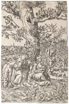 Bild Nr.1: 132-3216 Cranach, Lucas d.Ä.: (Künstlergraphik)