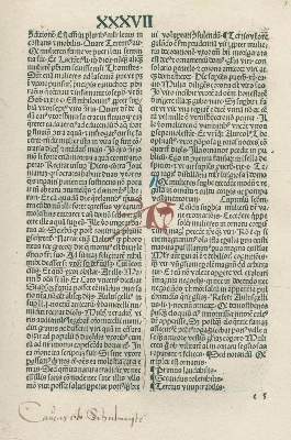 Bild Nr.77: 132-346 Konvolut: (Varia)