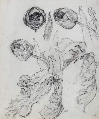 Bild Nr.1: 132-3471 Hofmann, Ludwig von: (Künstlergraphik)
