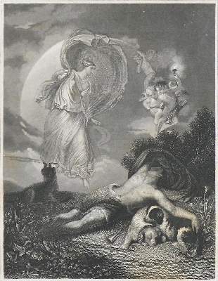 Bild Nr.1: 132-356 Konvolut: (Varia)