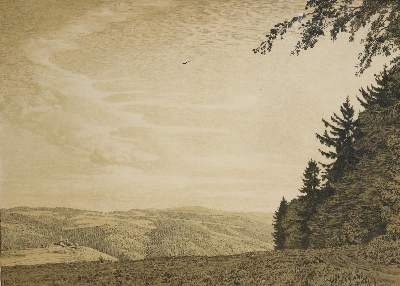 Bild Nr.3: 132-3585 Kallmorgen, Friedrich: (Künstlergraphik)