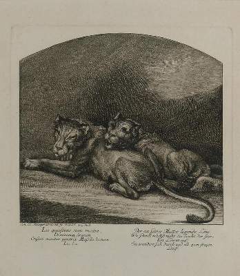 Bild Nr.1: 132-3983 Ridinger, Johann Elias: (Künstlergraphik)
