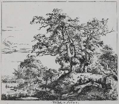 Bild Nr.1: 132-4007 Ruisdael, Jacob Isaackszoon: (Künstlergraphik)