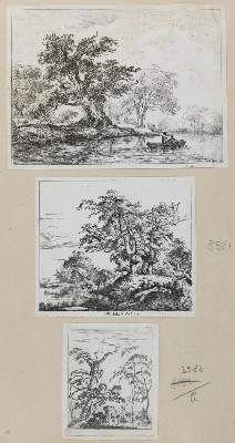 Bild Nr.2: 132-4007 Ruisdael, Jacob Isaackszoon: (Künstlergraphik)