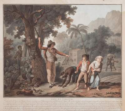 Bild Nr.1: 132-4036 Schall, Frédéric: (Künstlergraphik)