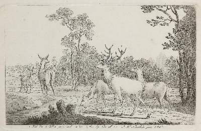 Bild Nr.1: 132-4155 Tischbein, Johann Heinrich d.J.: (Künstlergraphik)