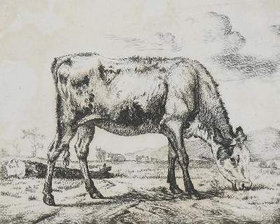 Bild Nr.1: 132-4193 Velde, Adriaen van de: (Künstlergraphik)