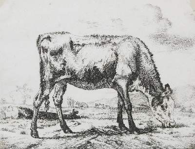 Bild Nr.1: 132-4194 Velde, Adriaen van de: (Künstlergraphik)