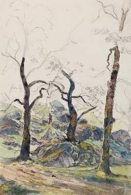 Bild Nr.1: 132-4224 Wagner, Carl: (Künstlergraphik)