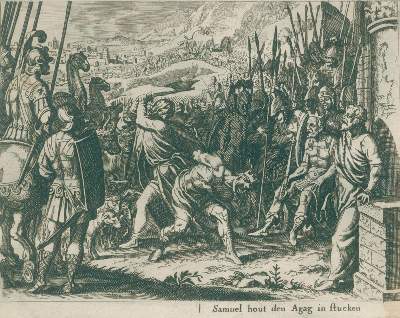 Bild Nr.3: 132-46 Merian,M.: (Bibeln)