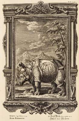 Bild Nr.2: 132-48 Scheuchzer,J.J.: (Bibeln)