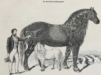 Bild Nr.3: 132-480 L`Illustration.: (Zeitschriften und Zeitungen)