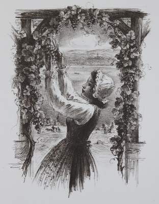 Bild Nr.1: 132-499 Kässner,W.E.: (Küche und Haushalt, Getränke, Wein und Weinbau)