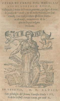 Bild Nr.1: 132-532 Rusius,L.: (Land- und Forstwirtschaft, Tierhaltung, Pferde)