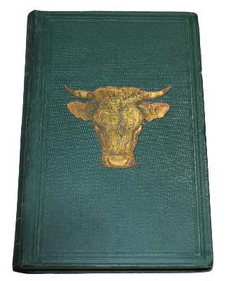 Bild Nr.2: 132-535 Wilckens,M.: (Land- und Forstwirtschaft, Tierhaltung)