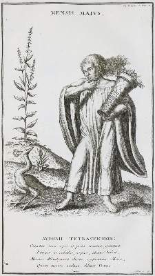 Bild Nr.1: 132-540 Montfaucon,B.de.: (Archäologie)