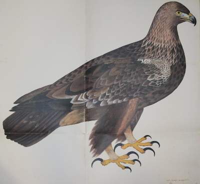 Bild Nr.11: 132-613 Musterbuch: (Kunstwissenschaft)