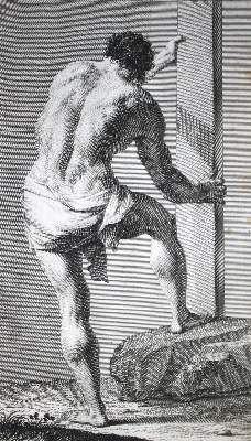 Bild Nr.2: 132-621 Preissler,J.D.: (Kunstwissenschaft)