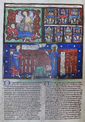 Bild Nr.3: 132-645 Splendor Solis.: (Faksimile, Alchemie)